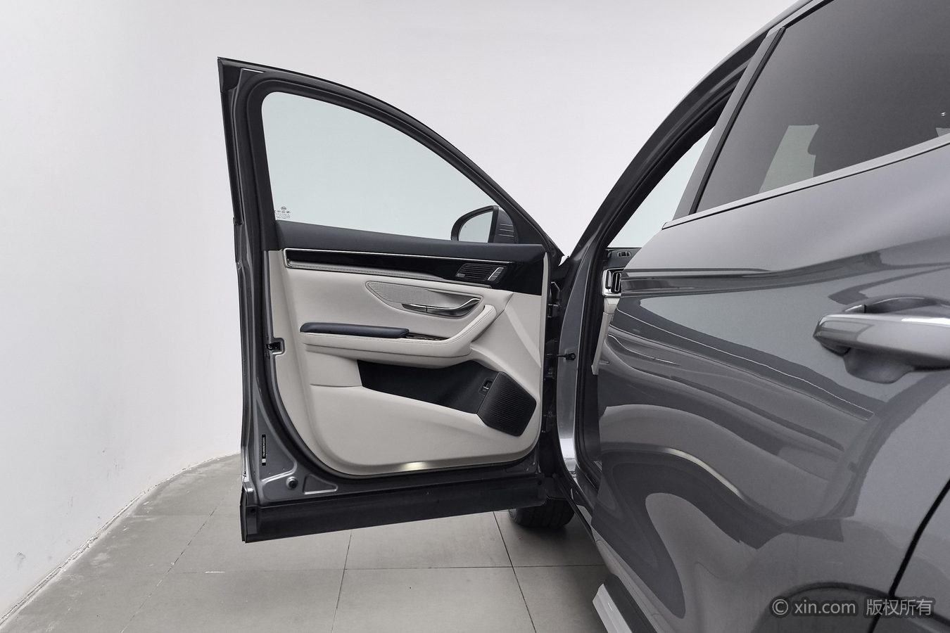 BYD Song Plus New Energy 2022 immagine di auto #8