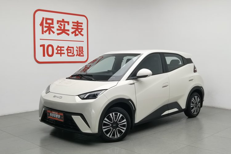 BYD Seagull 2024 BYD Seagull 2024 car image