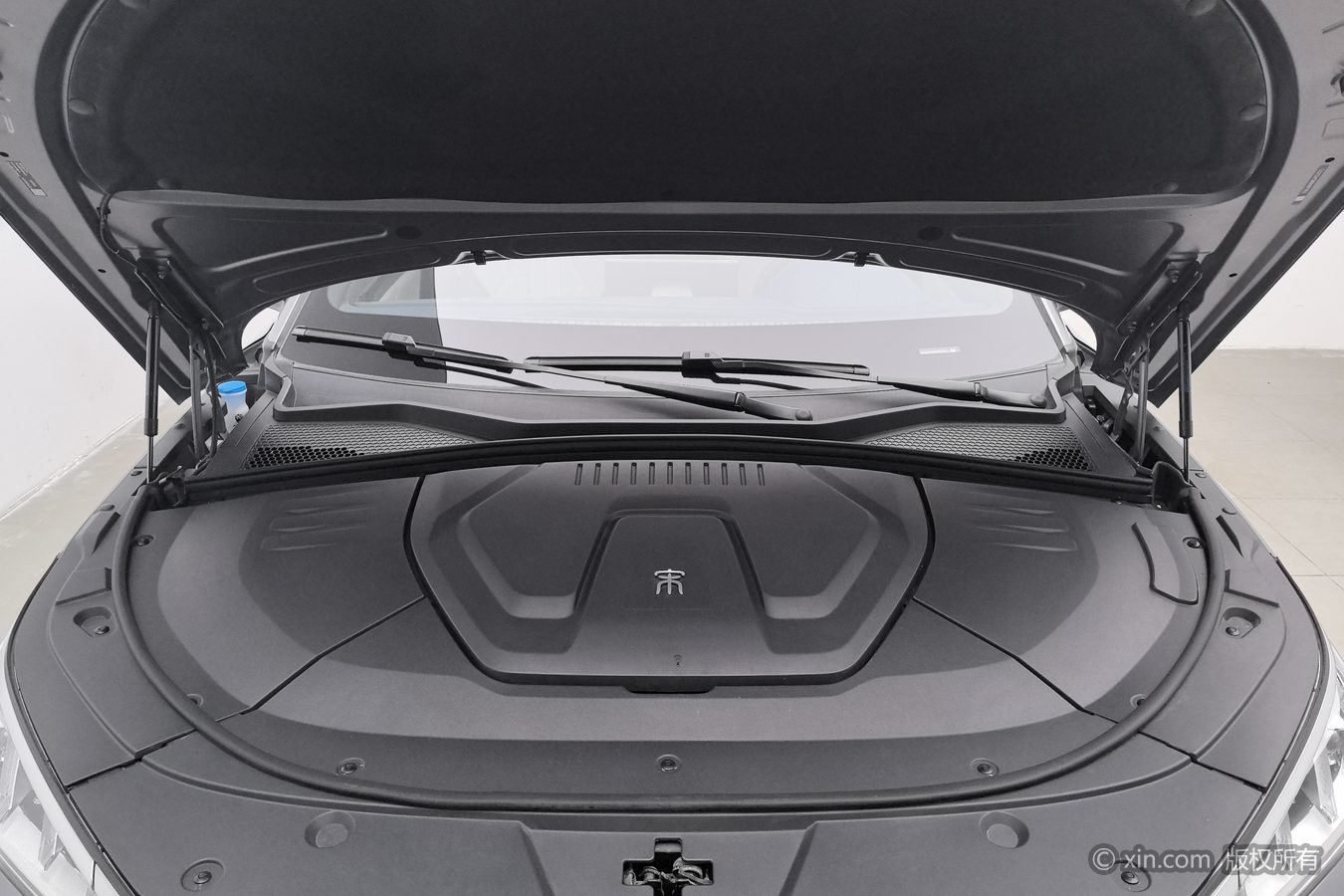 BYD Song Plus New Energy 2022 immagine di auto #18