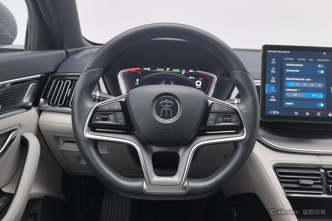 BYD Song Plus New Energy 2022 immagine di auto #11