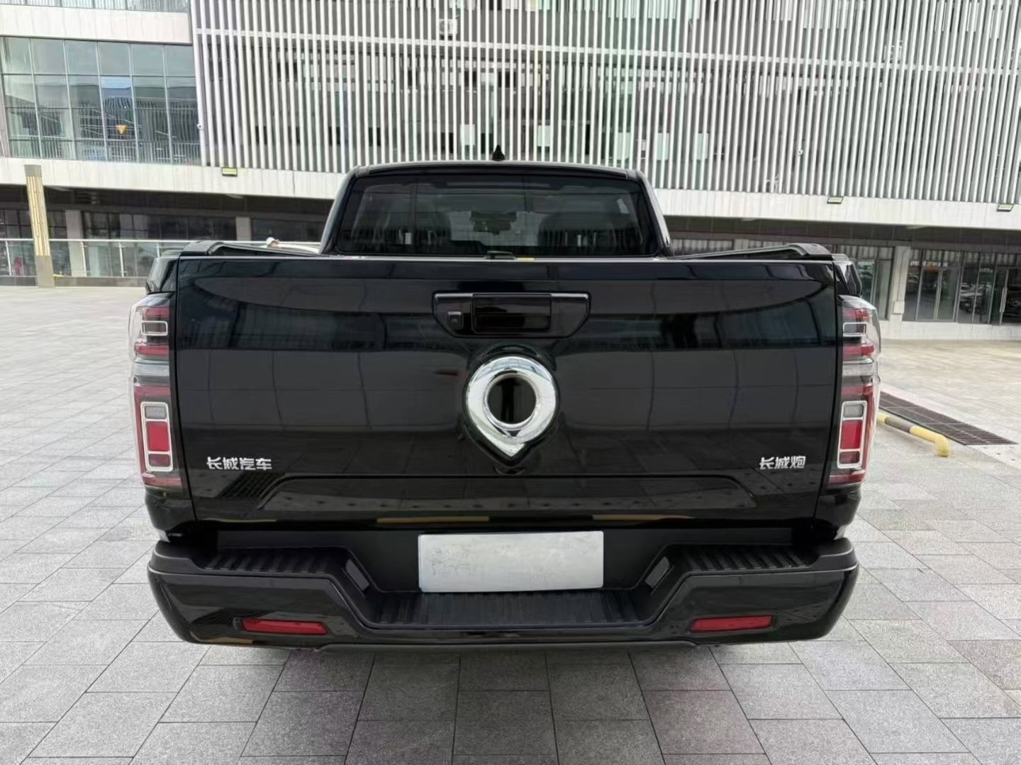 Great Wall Poer 2023 car image #9