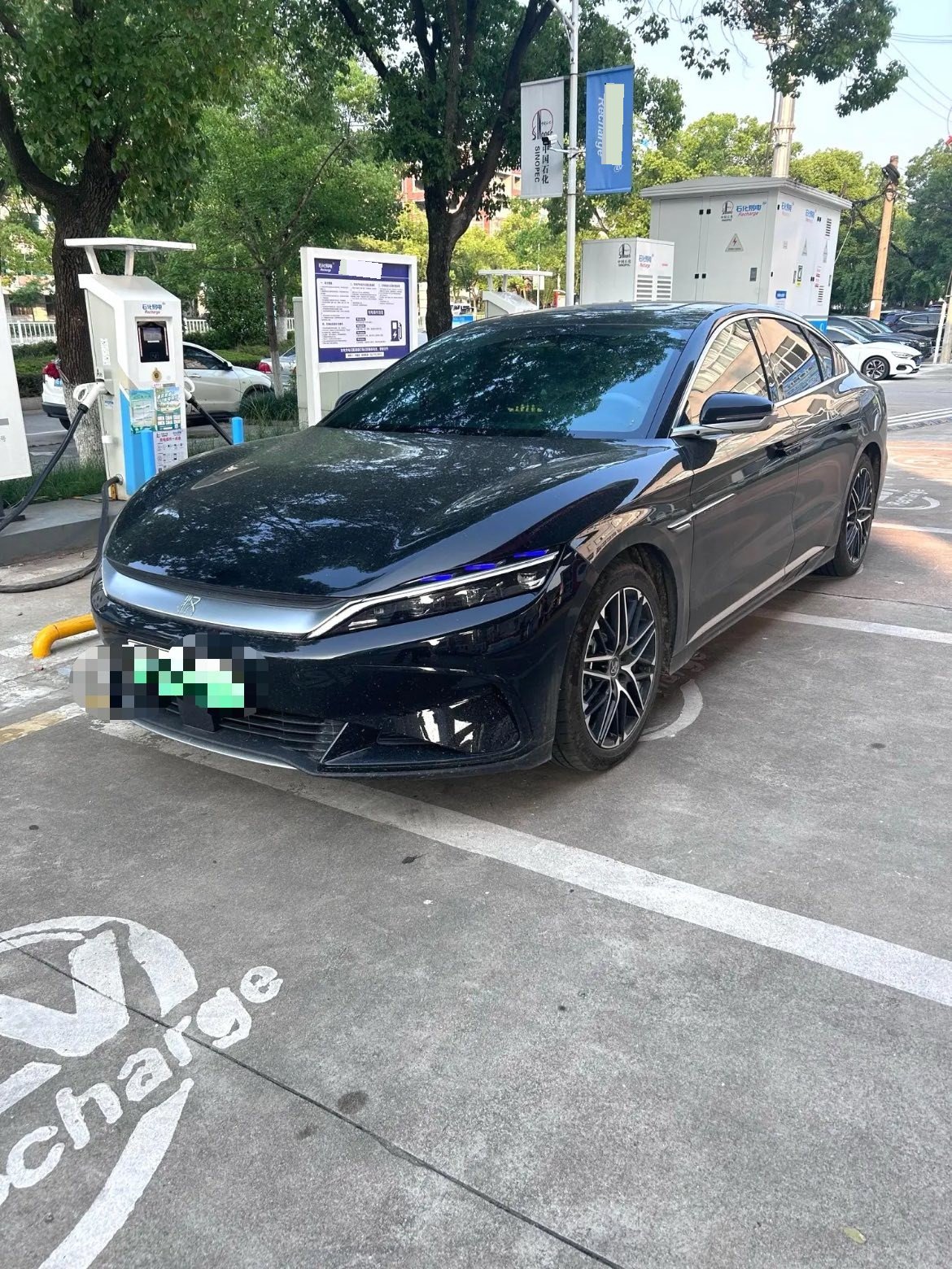BYD Han 2025 BYD Han 2025 car image