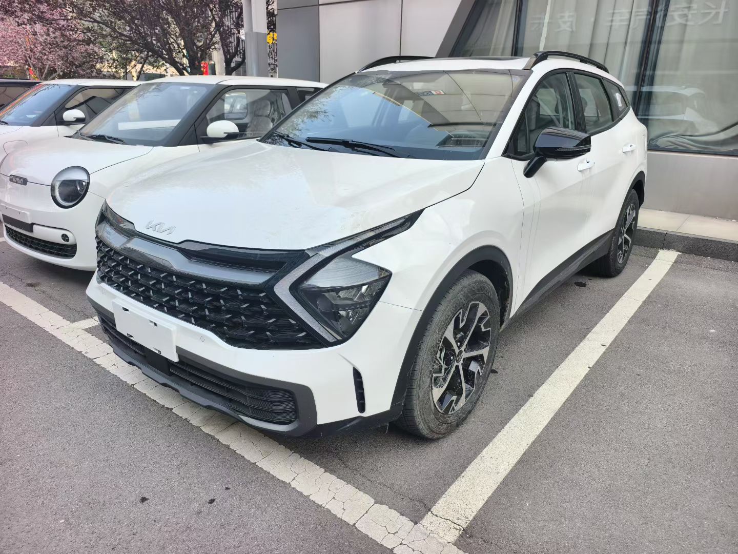 Kia Sportage 2026 Kia Sportage 2026 汽车图片