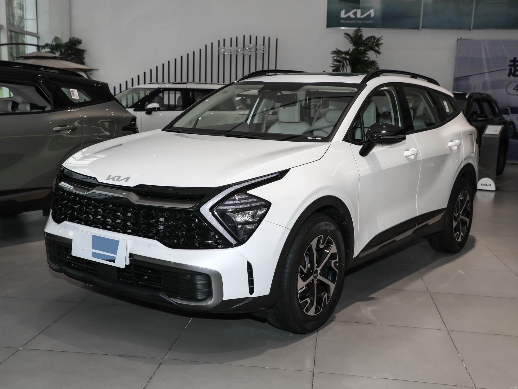 Kia Sportage 2024 car image 