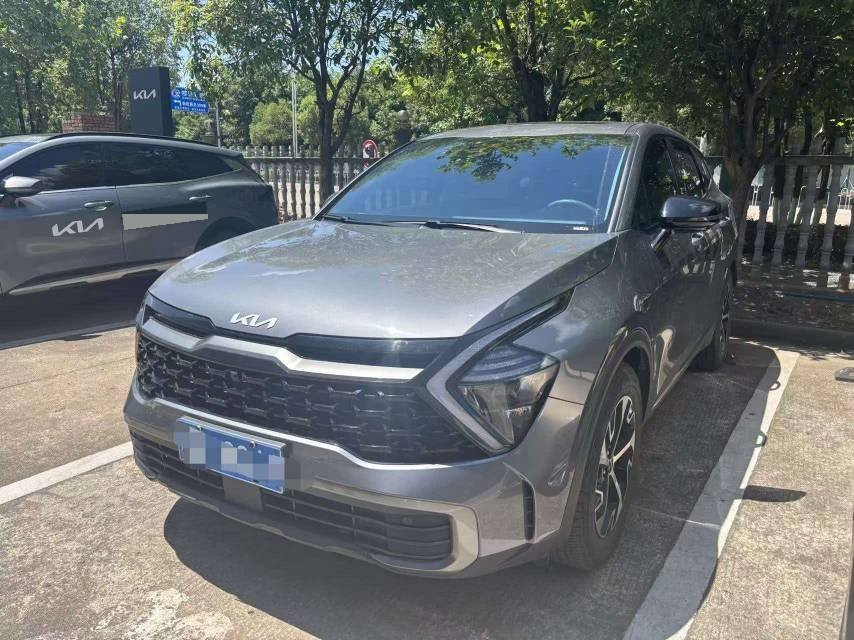 Kia Sportage 2024 car image 