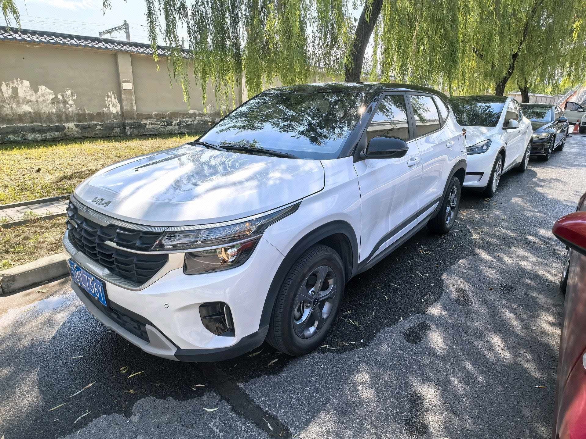 Kia Seltos 2024 Kia Seltos 2024 immagine di auto