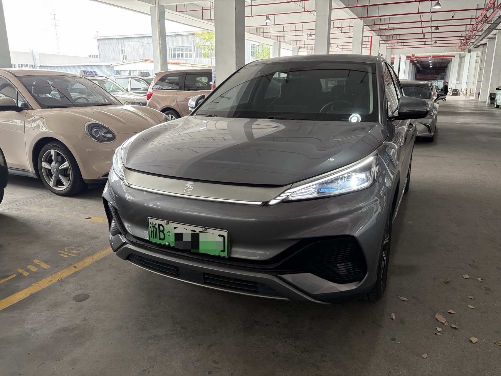 BYD Yuan Plus 2024 immagine di auto 