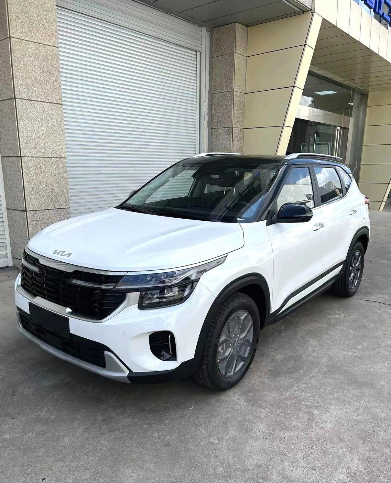Kia Seltos 2024 car image 