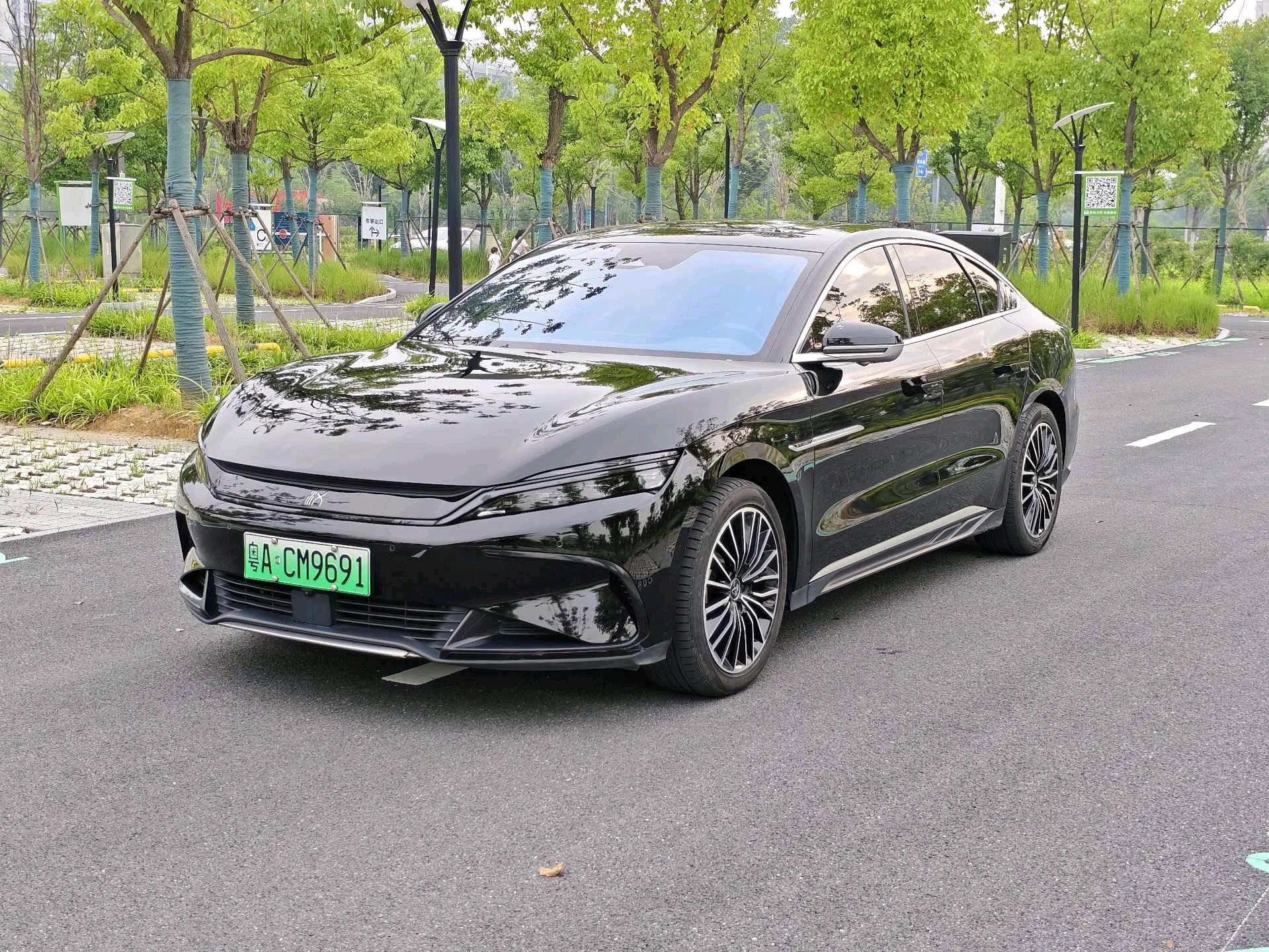 BYD Han 2024 BYD Han 2024 immagine di auto