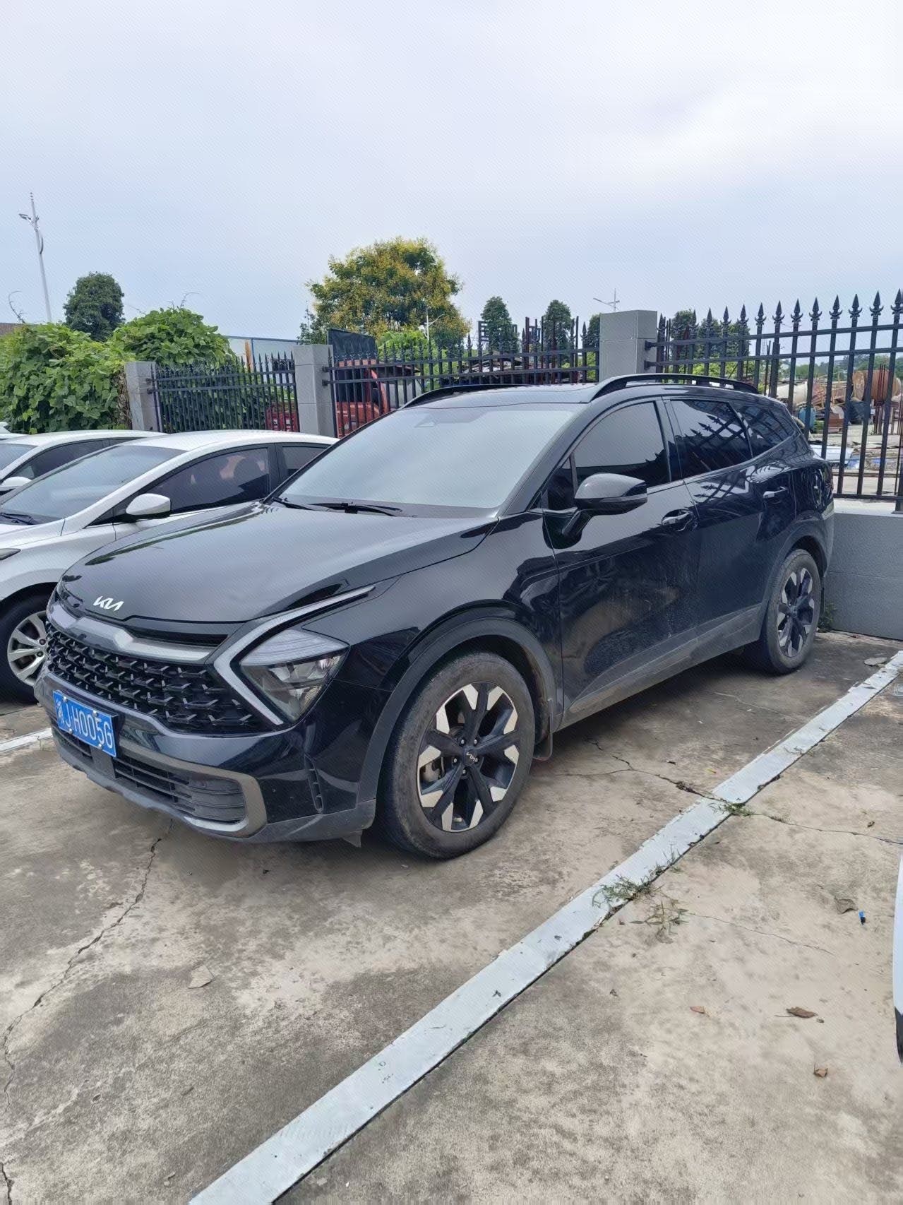 Kia Sportage 2024 car image 