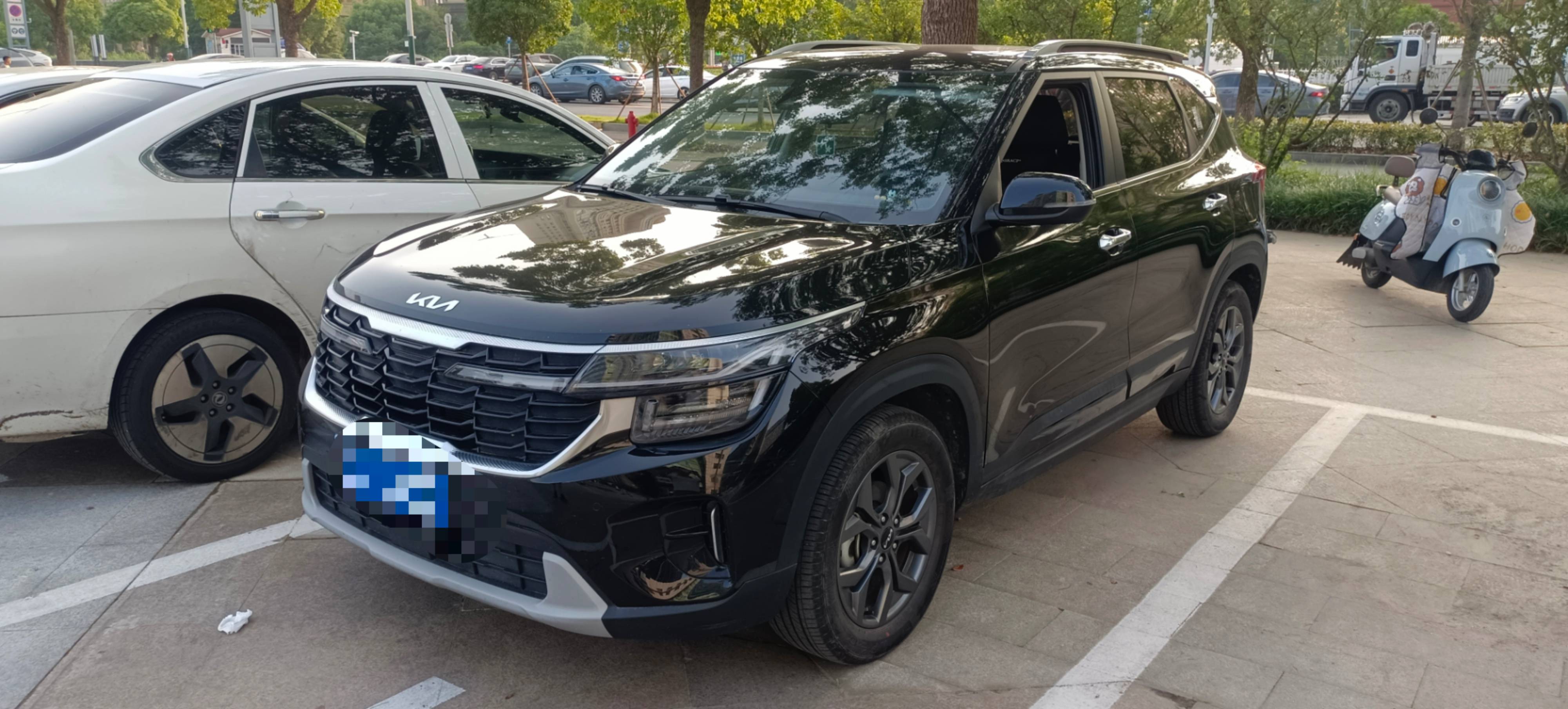 Kia Seltos 2024 car image 
