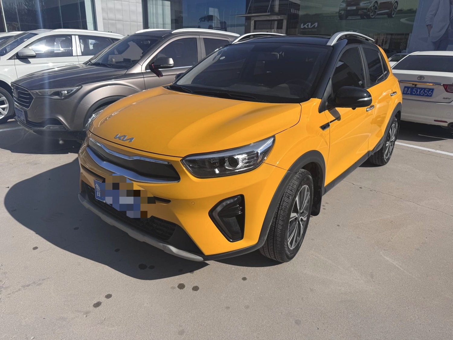 起亚 奕跑 2023 汽车图片 