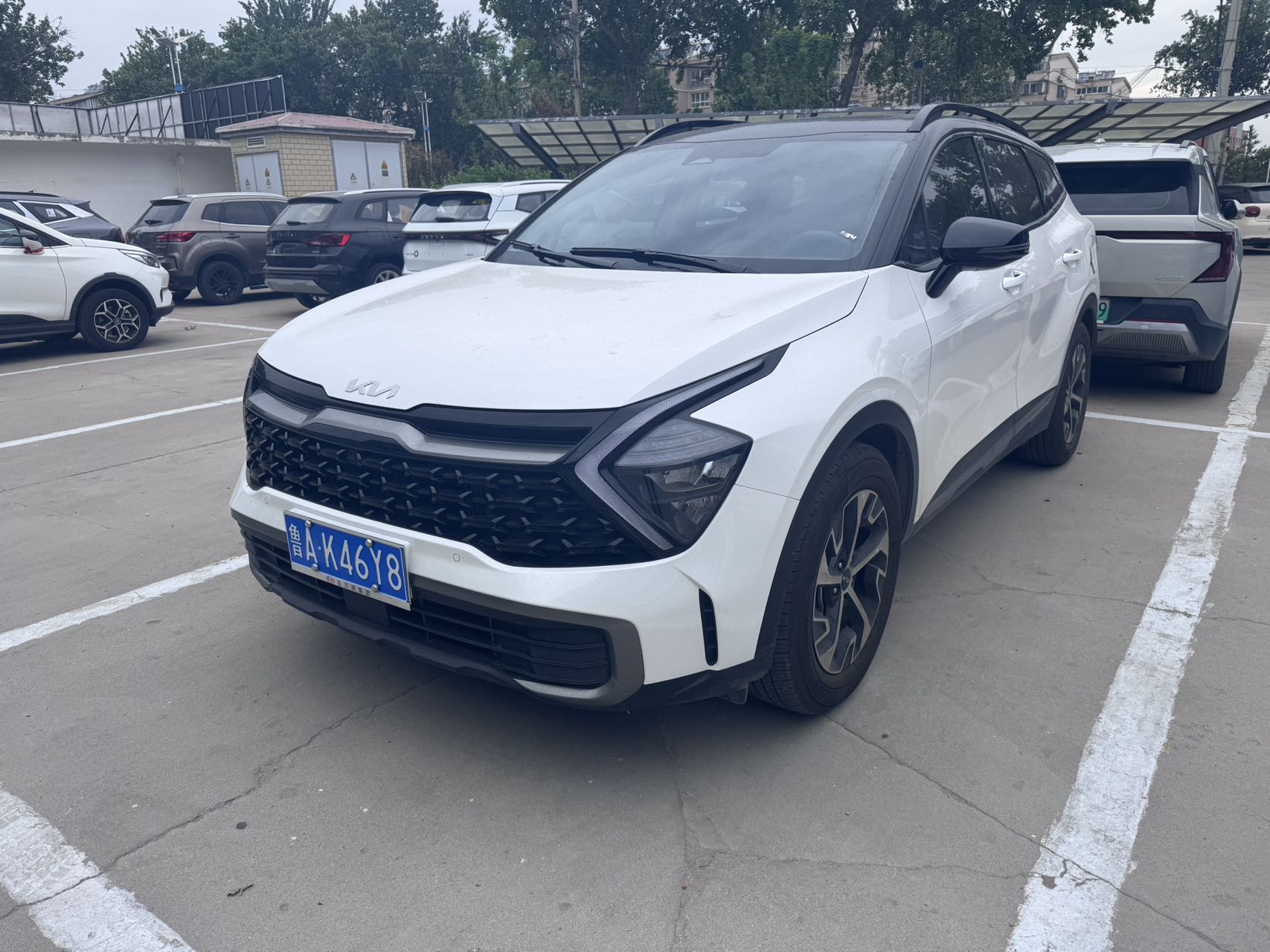 Kia Sportage 2025 car image 
