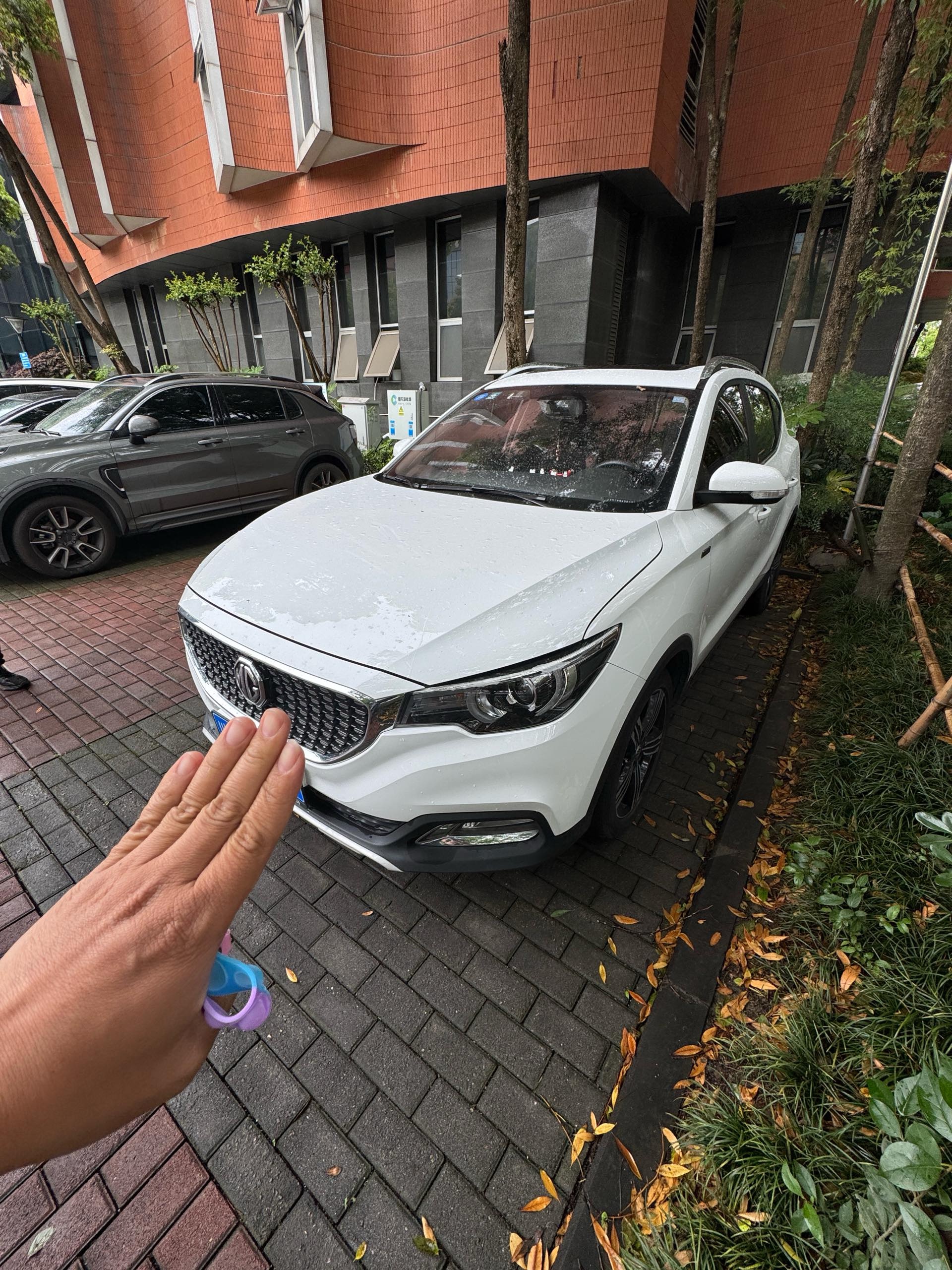 MG ZS 2019 MG ZS 2019 car image