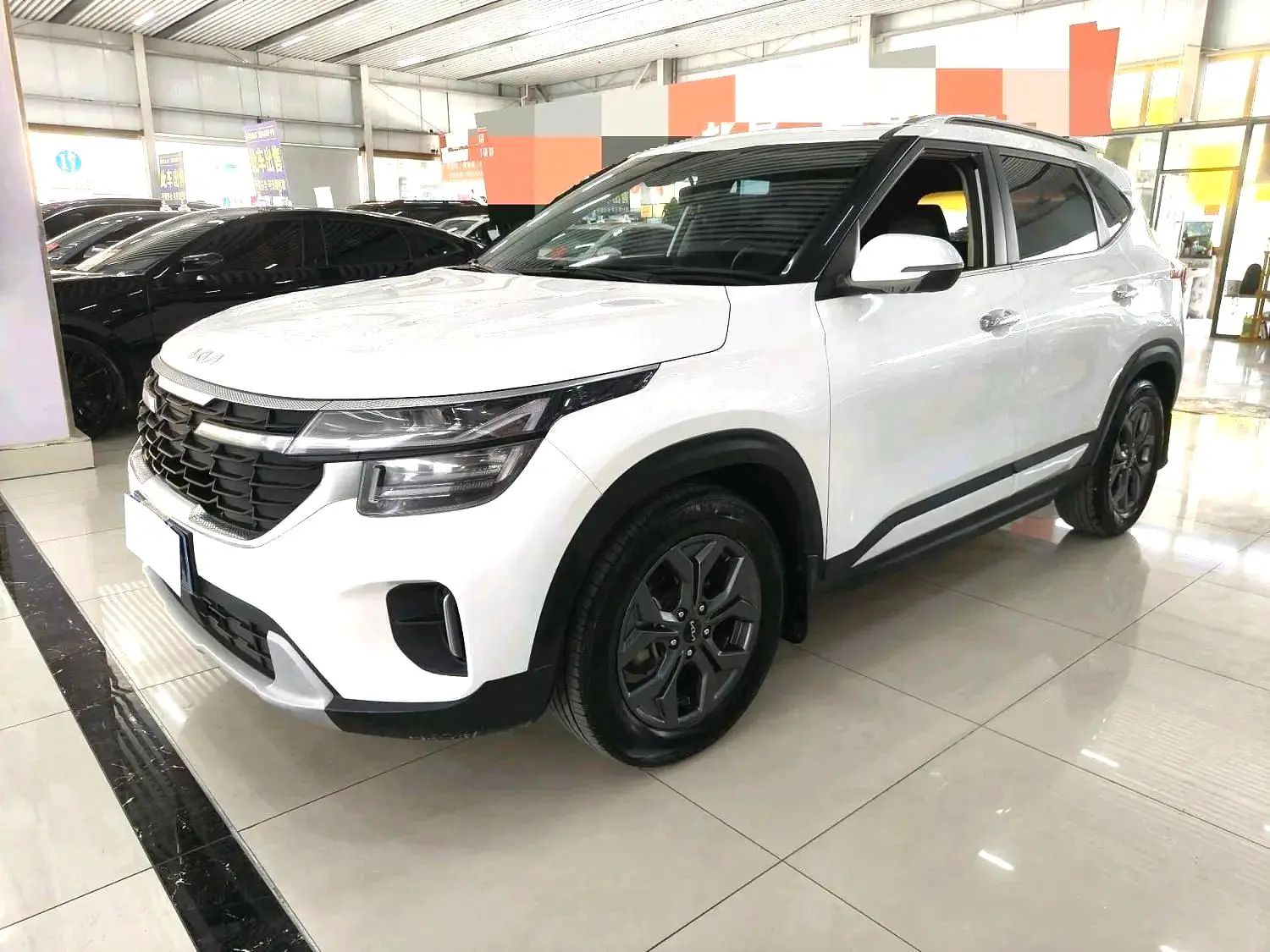 Kia Seltos 2023 Kia Seltos 2023 immagine di auto