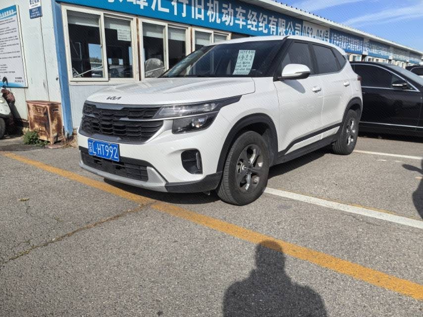 Kia Seltos 2024 car image 