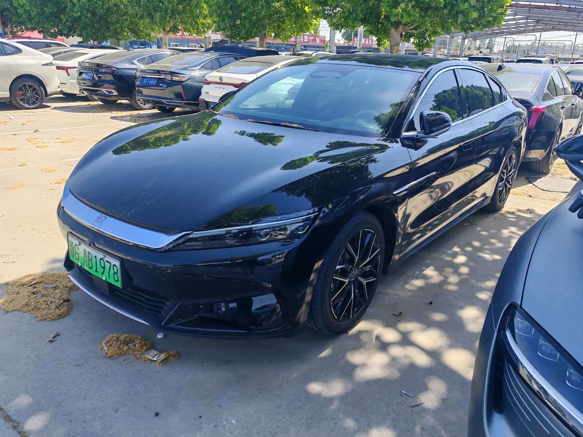 BYD Han 2025 BYD Han 2025 car image