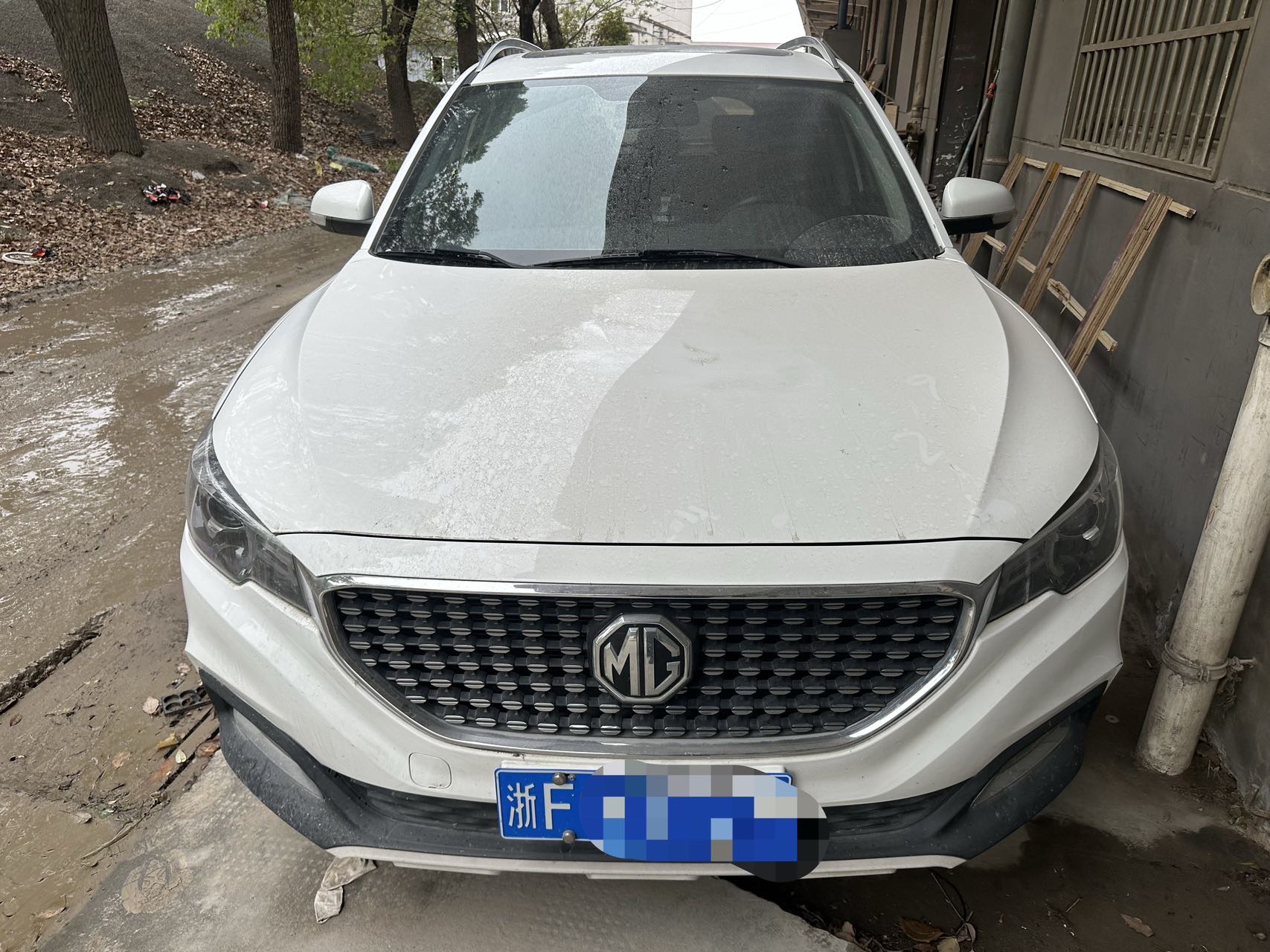 MG ZS 2019 immagine di auto #2