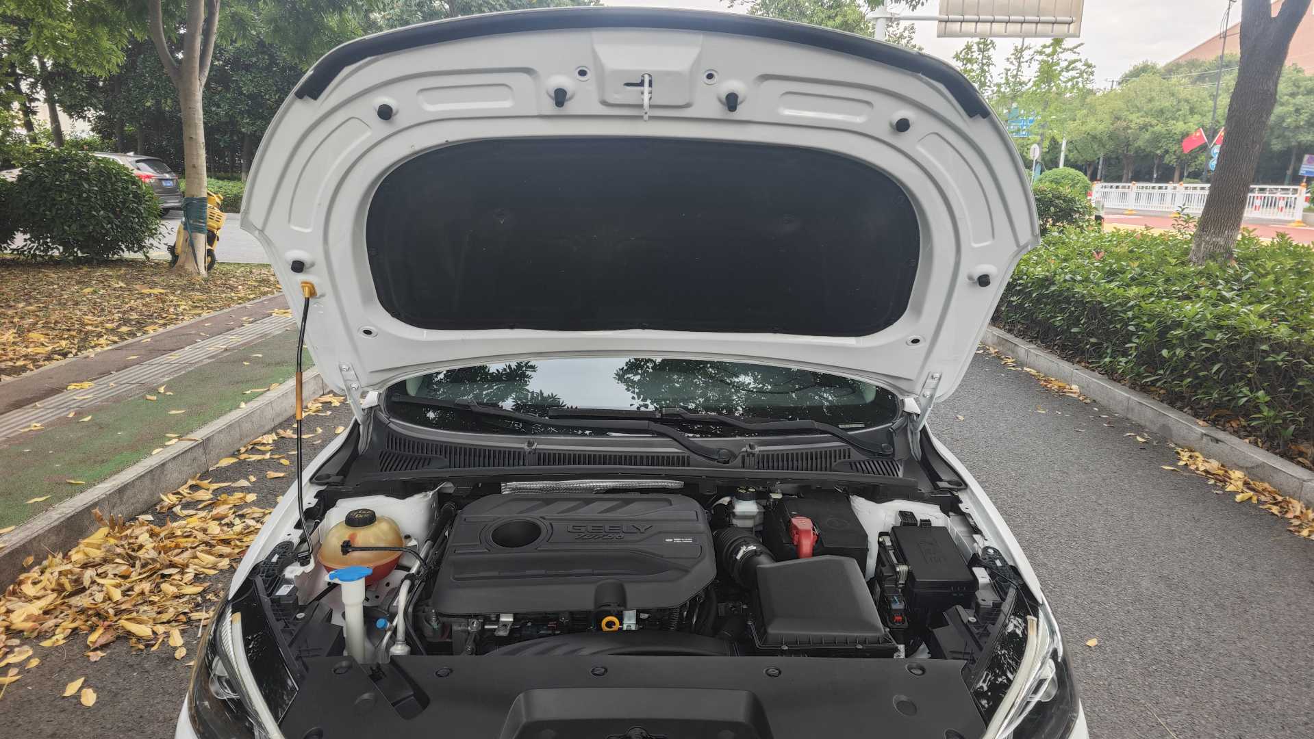 GEELY Binray 2021 #17 GEELY Binray 2021 car image #17