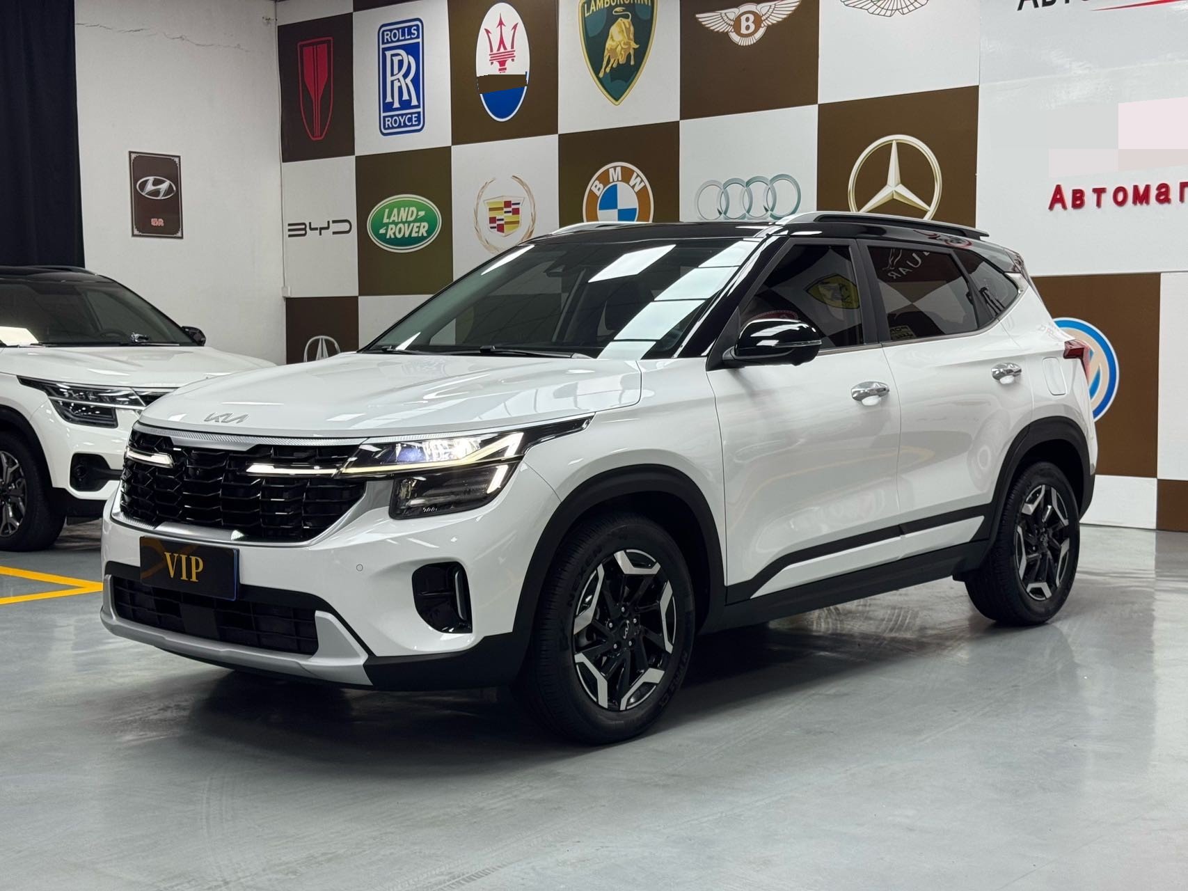 Kia Seltos 2023 Kia Seltos 2023 car image