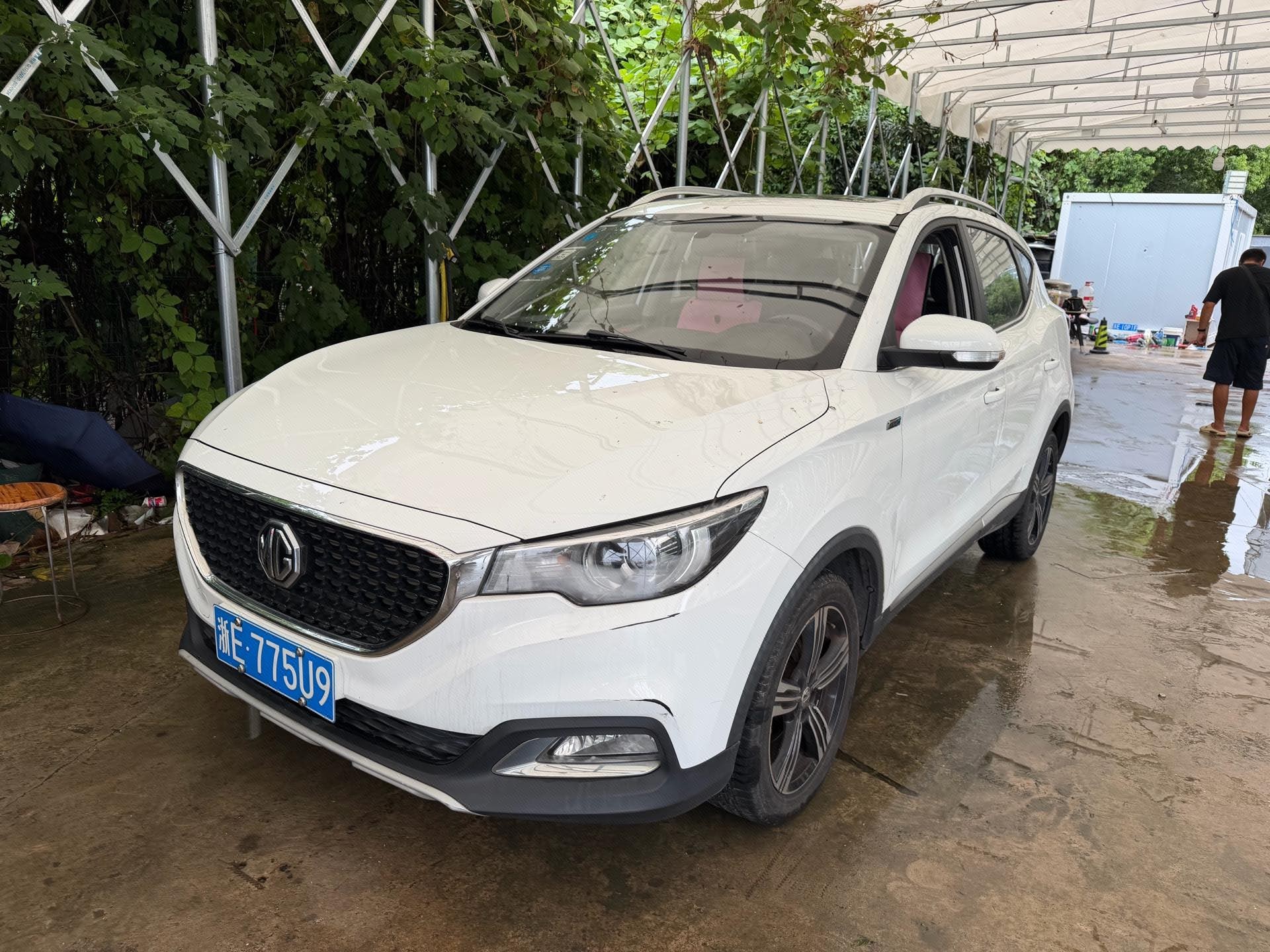 MG ZS 2019 MG ZS 2019 car image