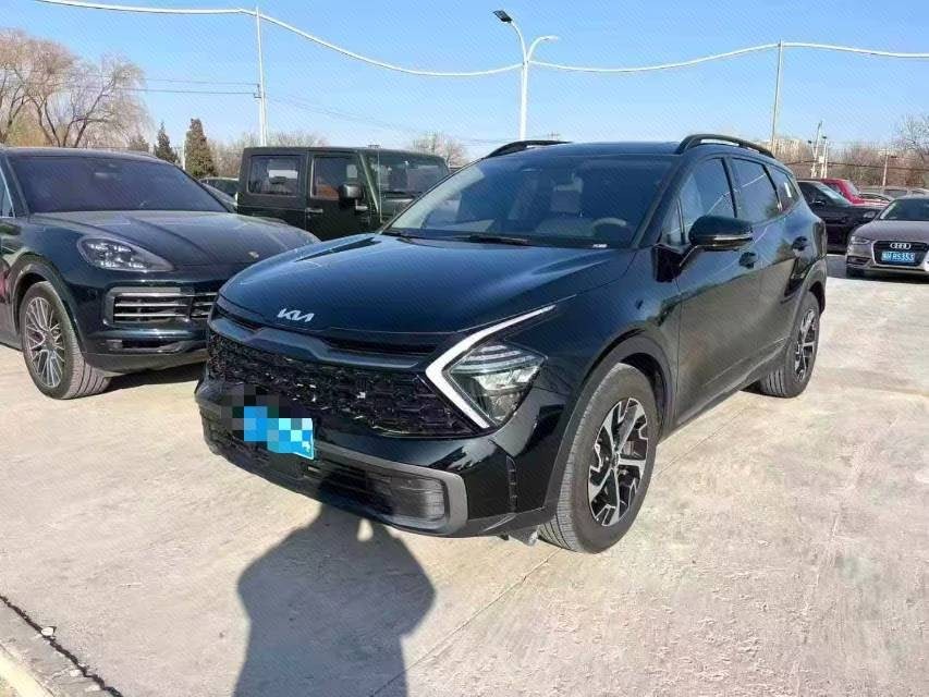 Kia Sportage 2024 car image 