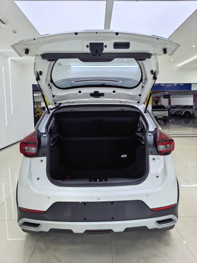 Chery Tiggo 3x 2021 car image #15