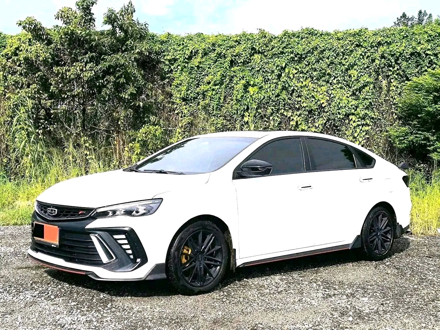 GEELY Binray 2022 GEELY Binray 2022 car image