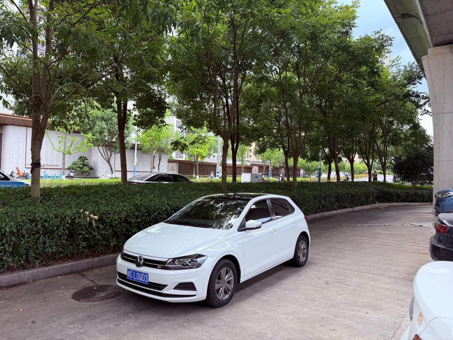 Volkswagen Polo 2024 Volkswagen Polo 2024 car image