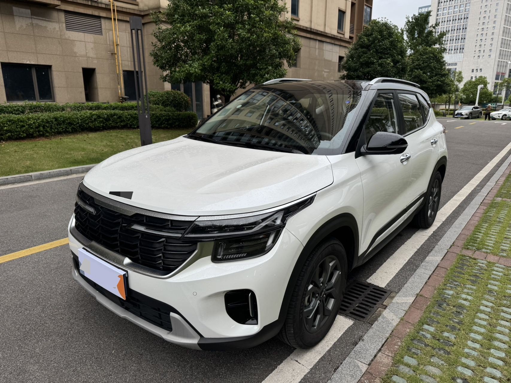 Kia Seltos 2024 car image 