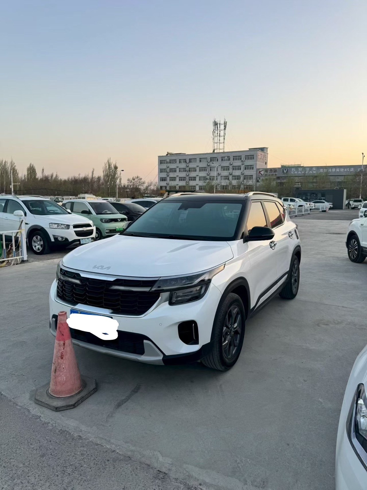 Kia Seltos 2024 car image 