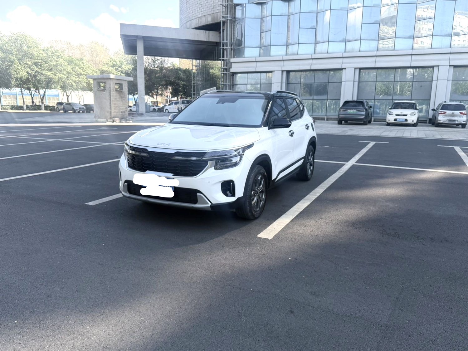 Kia Seltos 2024 car image 