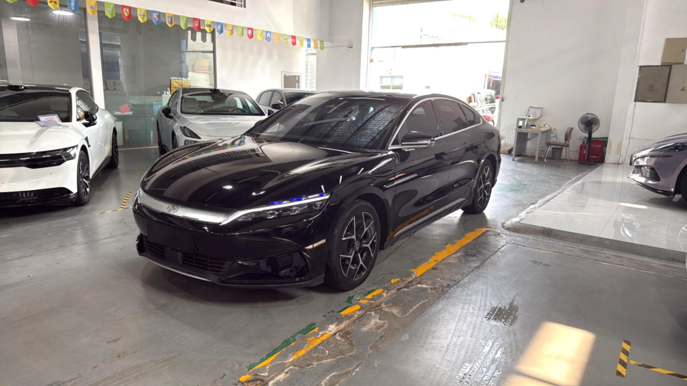 BYD Han 2024 car image 