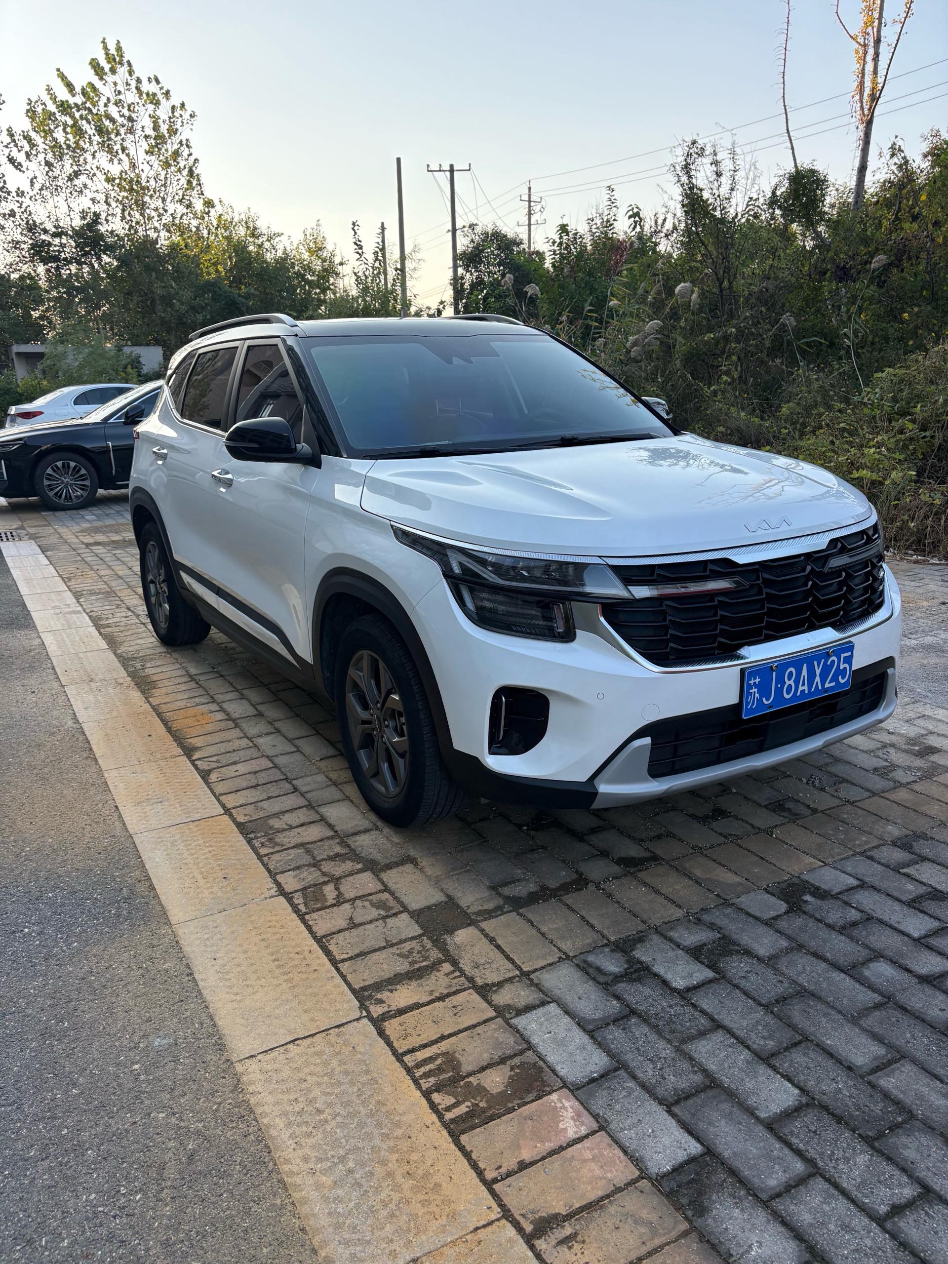 Kia Seltos 2024 #2 Kia Seltos 2024 immagine di auto #2