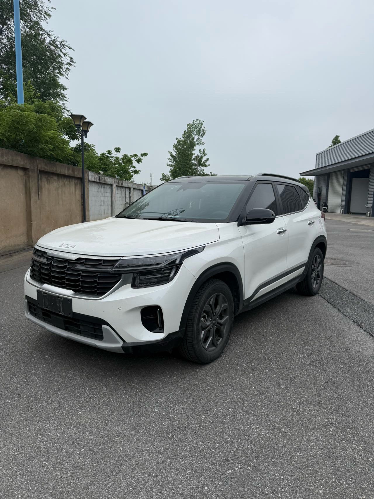 Kia Seltos 2023 Kia Seltos 2023 car image
