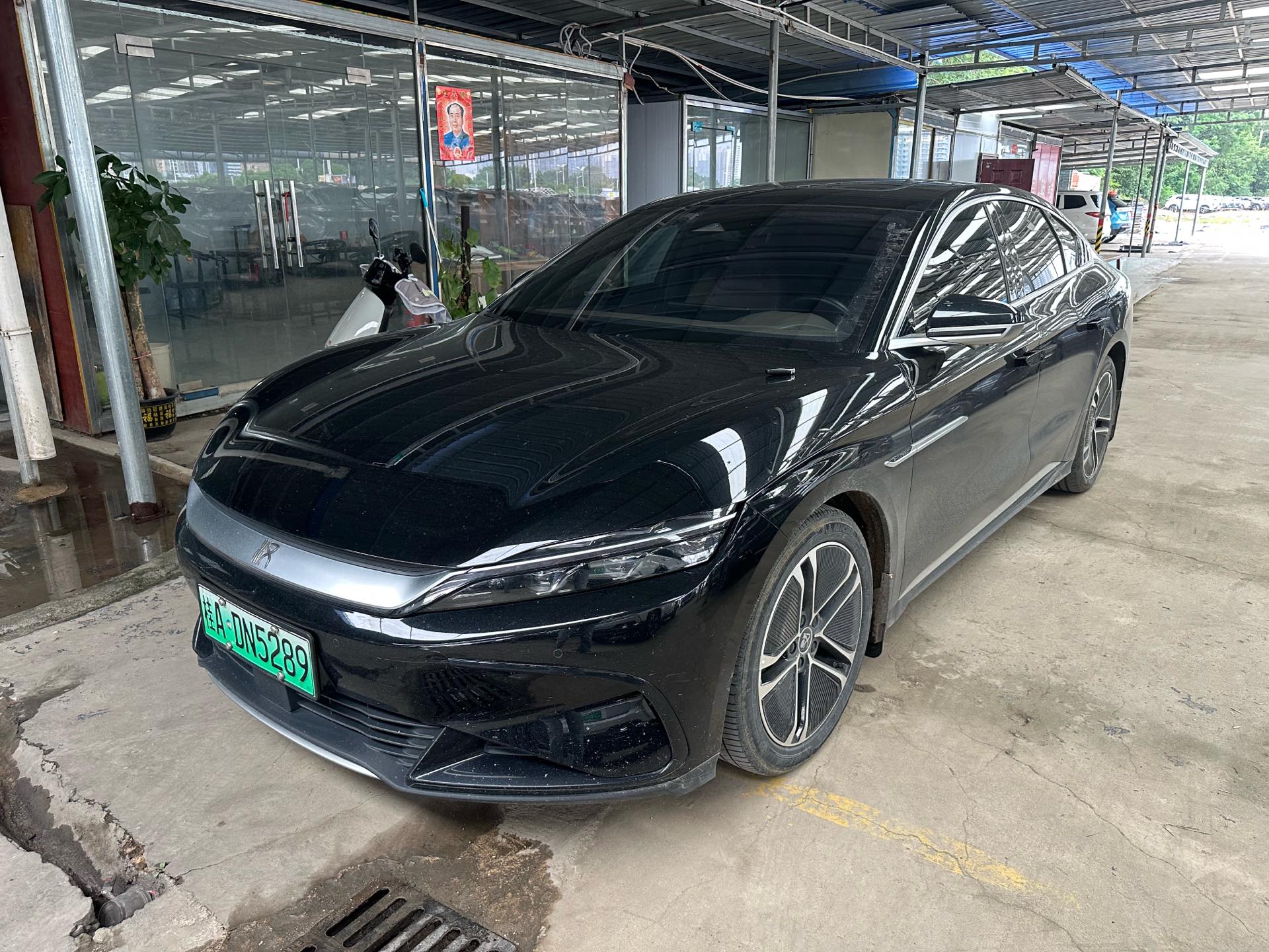 BYD Han 2024 BYD Han 2024 car image
