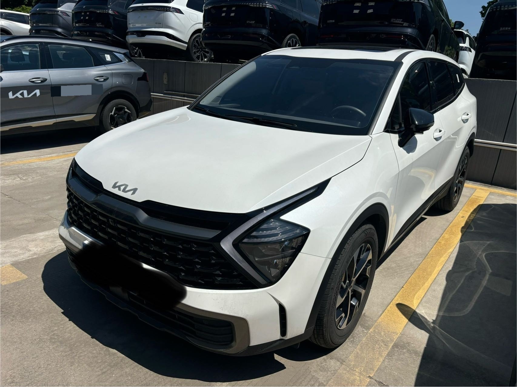 Kia Sportage 2025 car image 