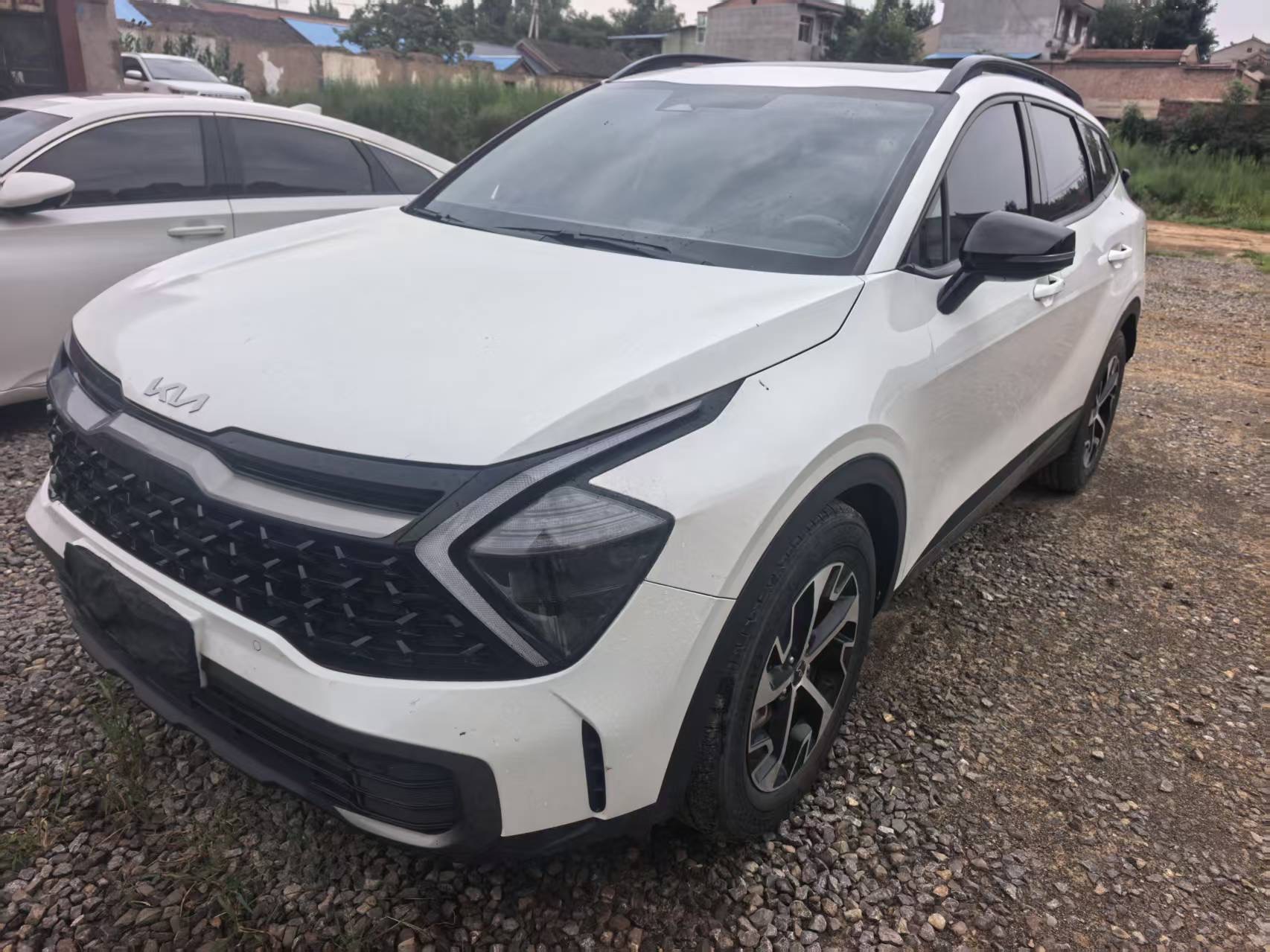 Kia Sportage 2024 car image 