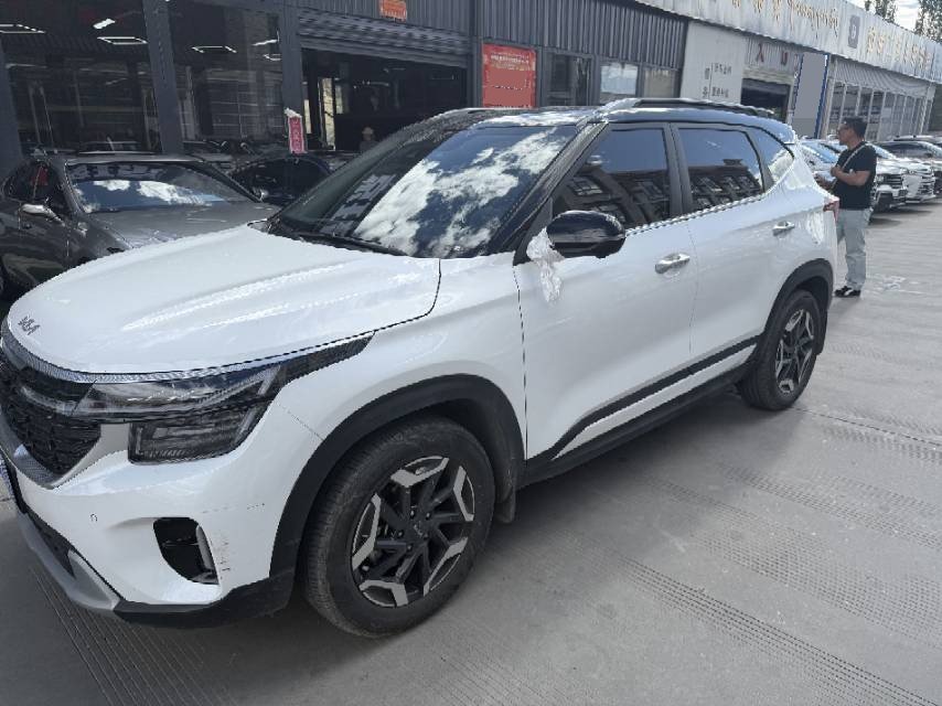 Kia Seltos 2024 car image 