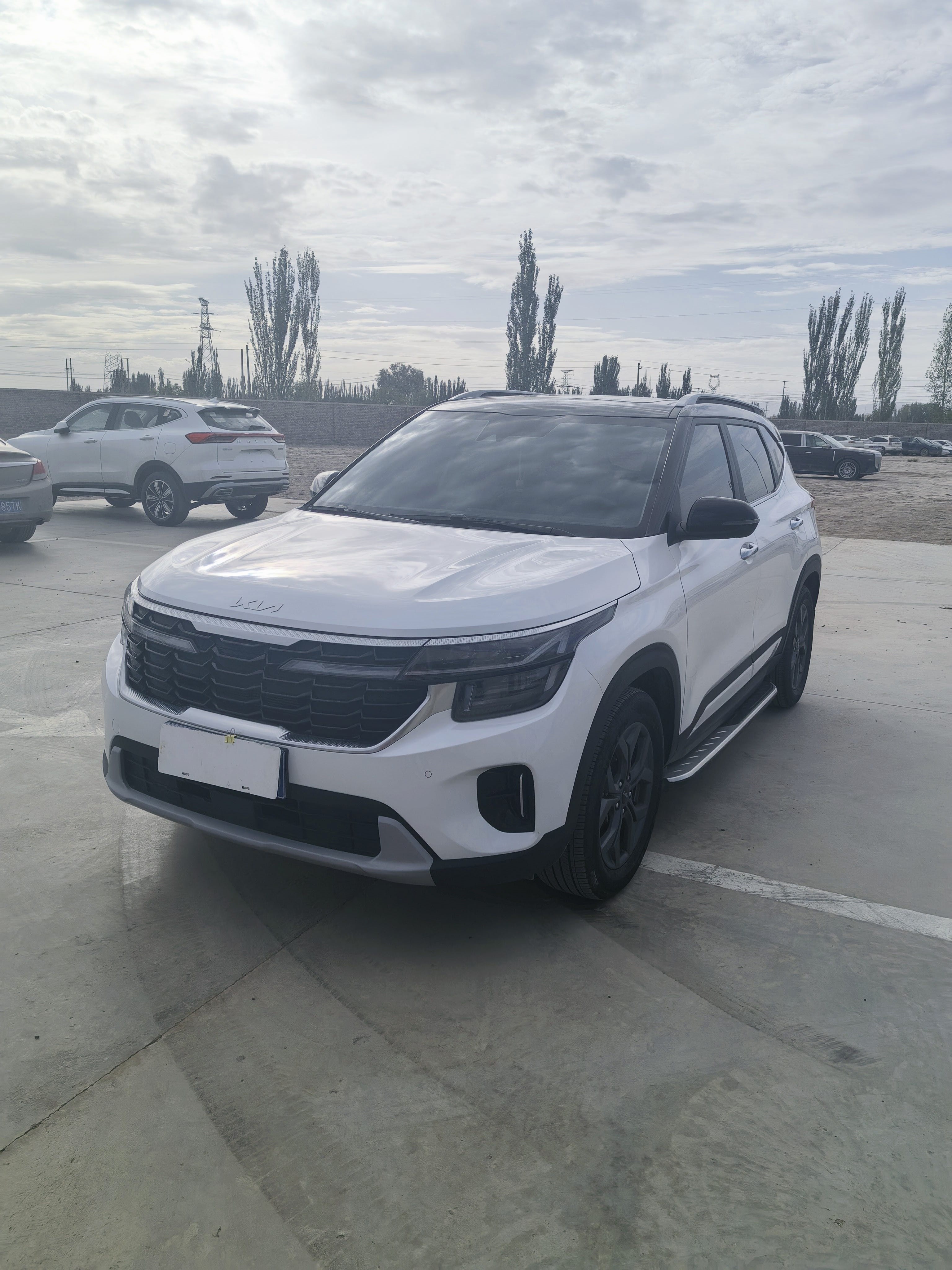 Kia Seltos 2023 car image 