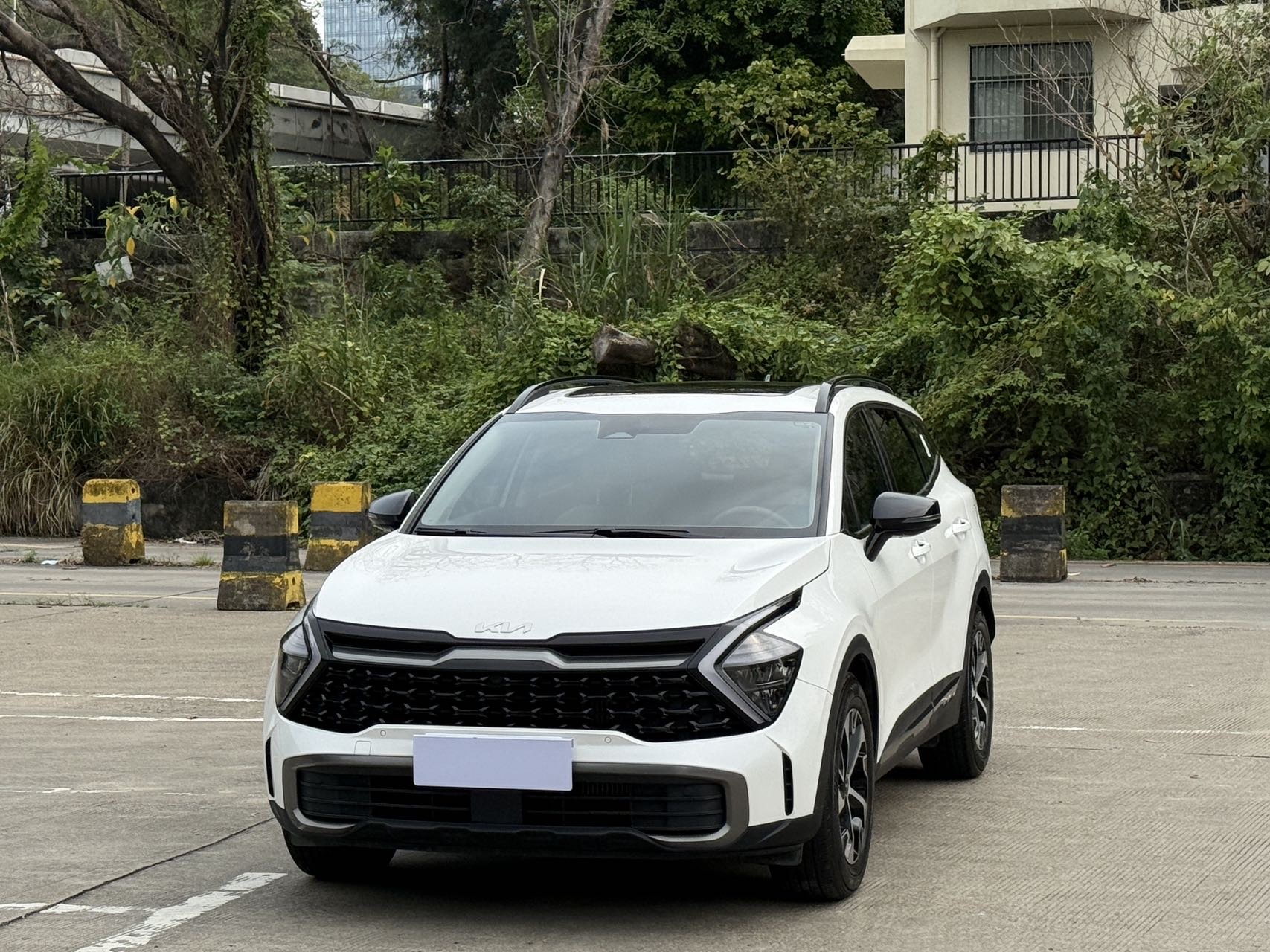 Kia Sportage 2023 Kia Sportage 2023 汽车图片