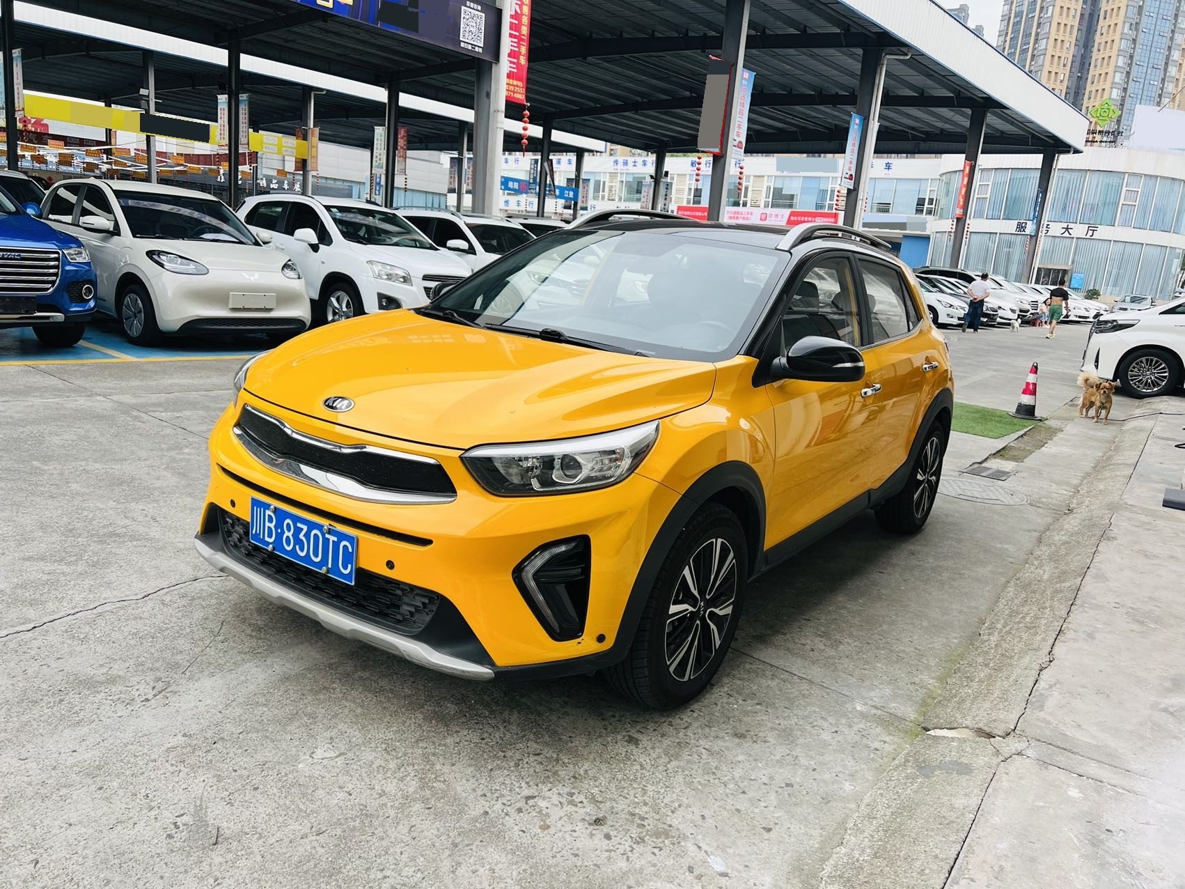 Kia KX1 2019 Kia KX1 2019 car image
