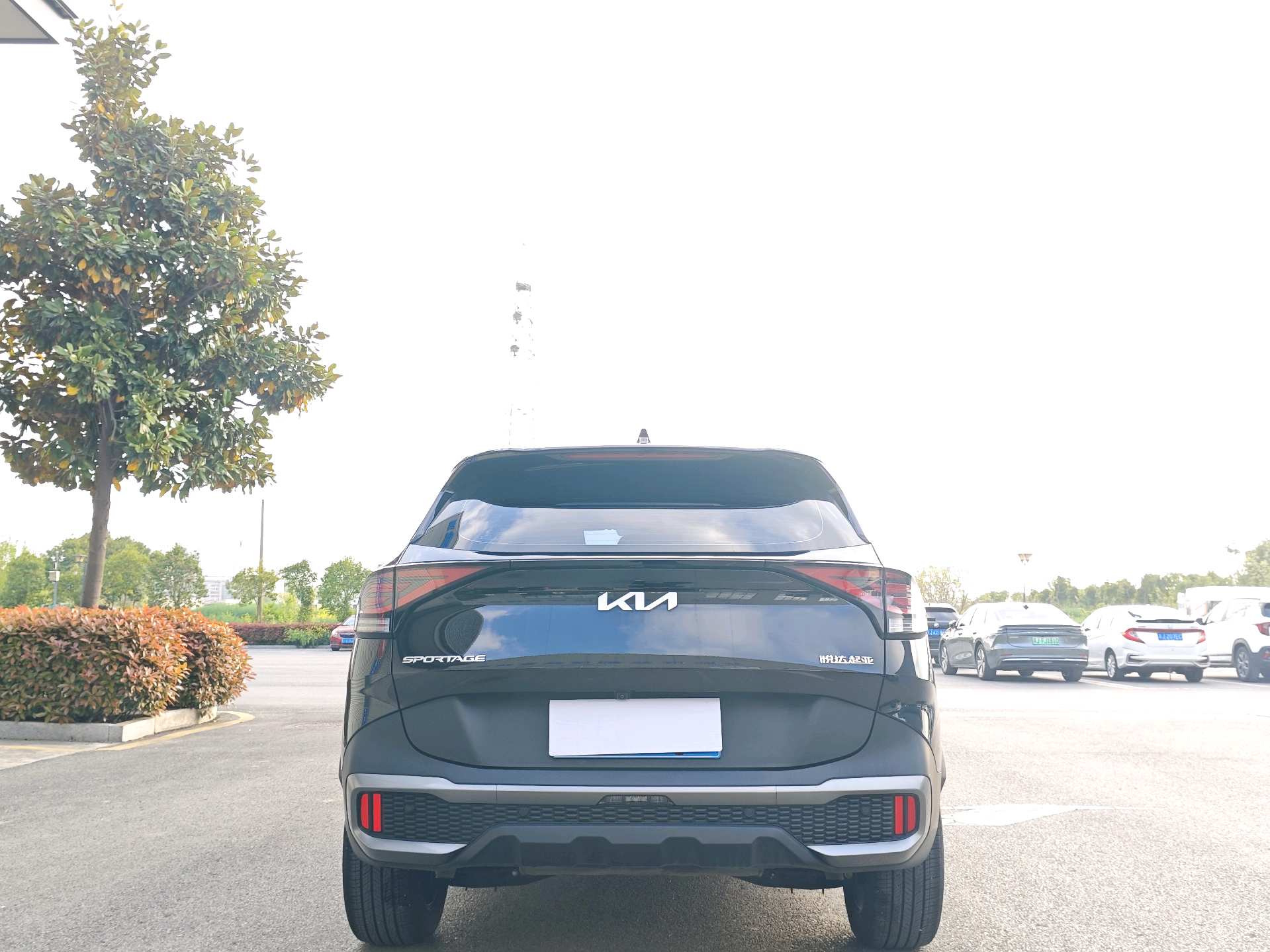 Kia Sportage 2025 #5 Kia Sportage 2025 صورة سيارة #5