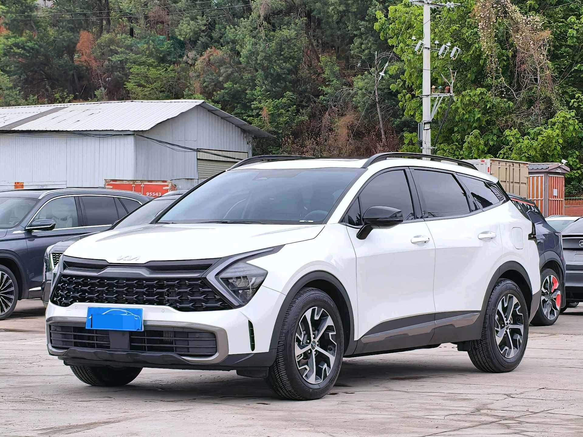 Kia Sportage 2024 Kia Sportage 2024 car image