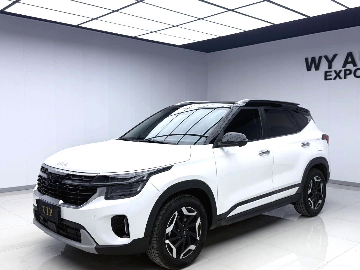 Kia Seltos 2023 car image 