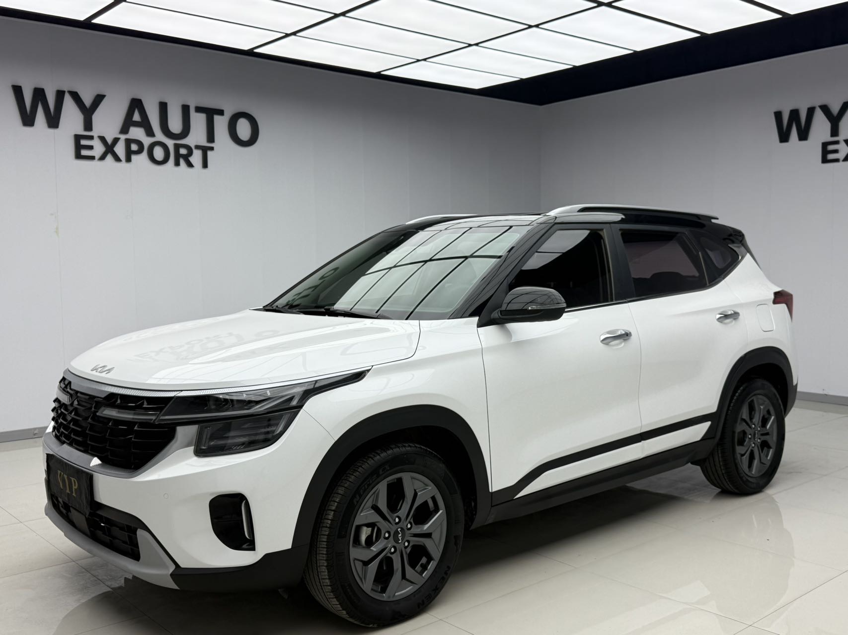 Kia Seltos 2023 car image 