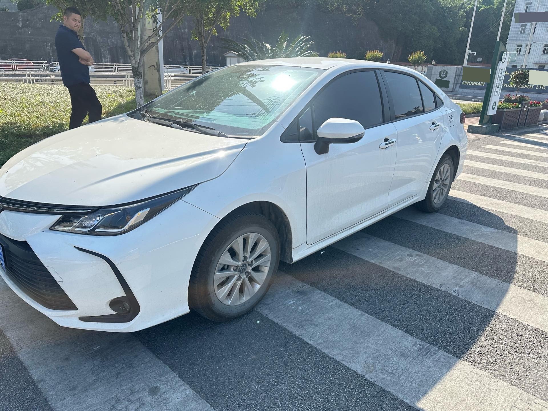 Toyota Corolla 2025 Toyota Corolla 2025 imagen de coche