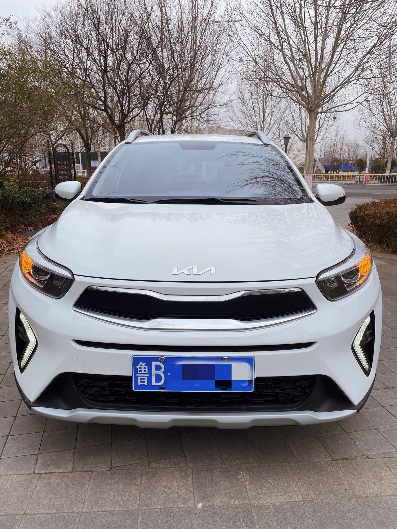 起亚 奕跑 2024 汽车图片 #2