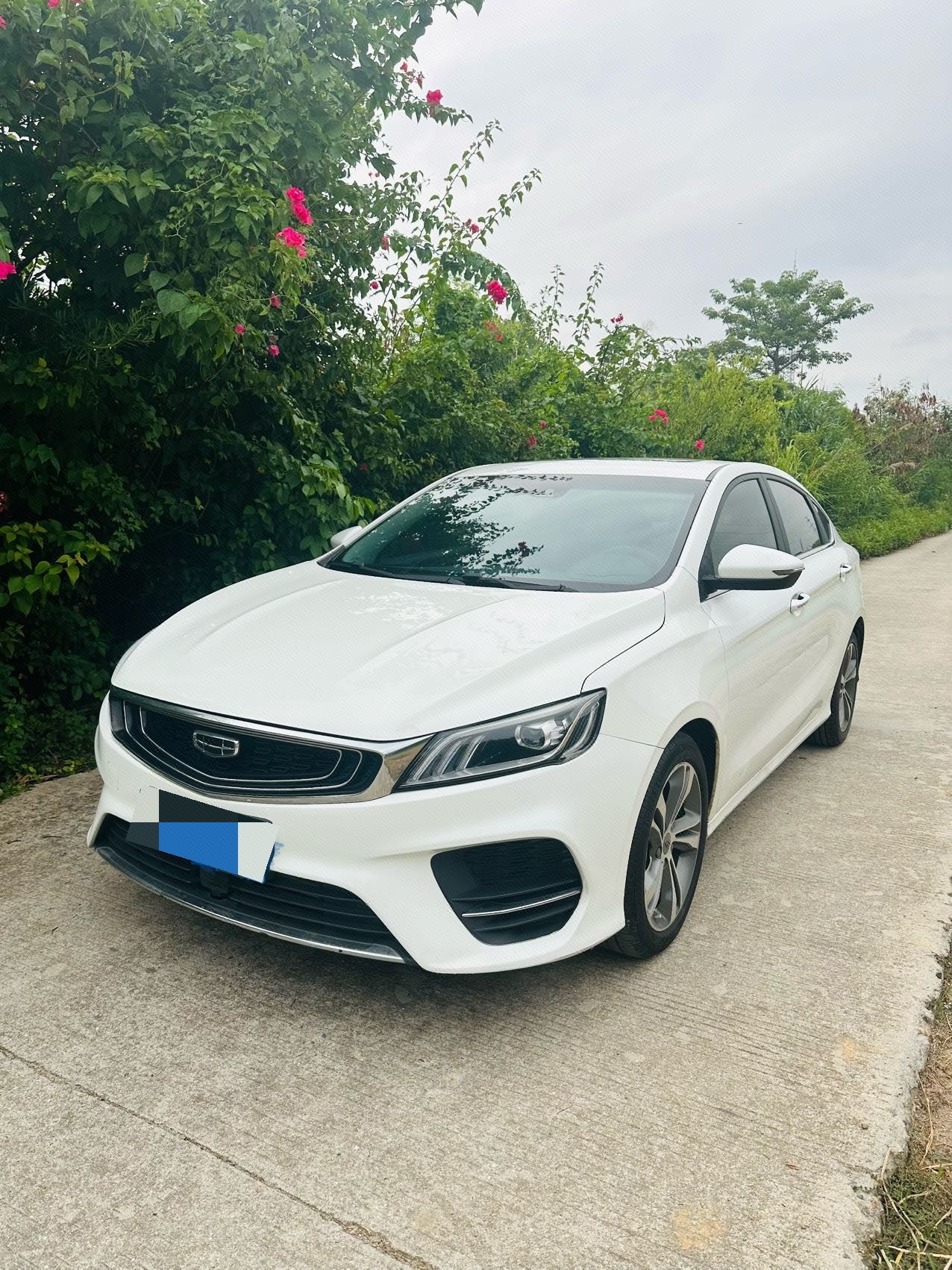 GEELY Binray 2019 GEELY Binray 2019 immagine di auto