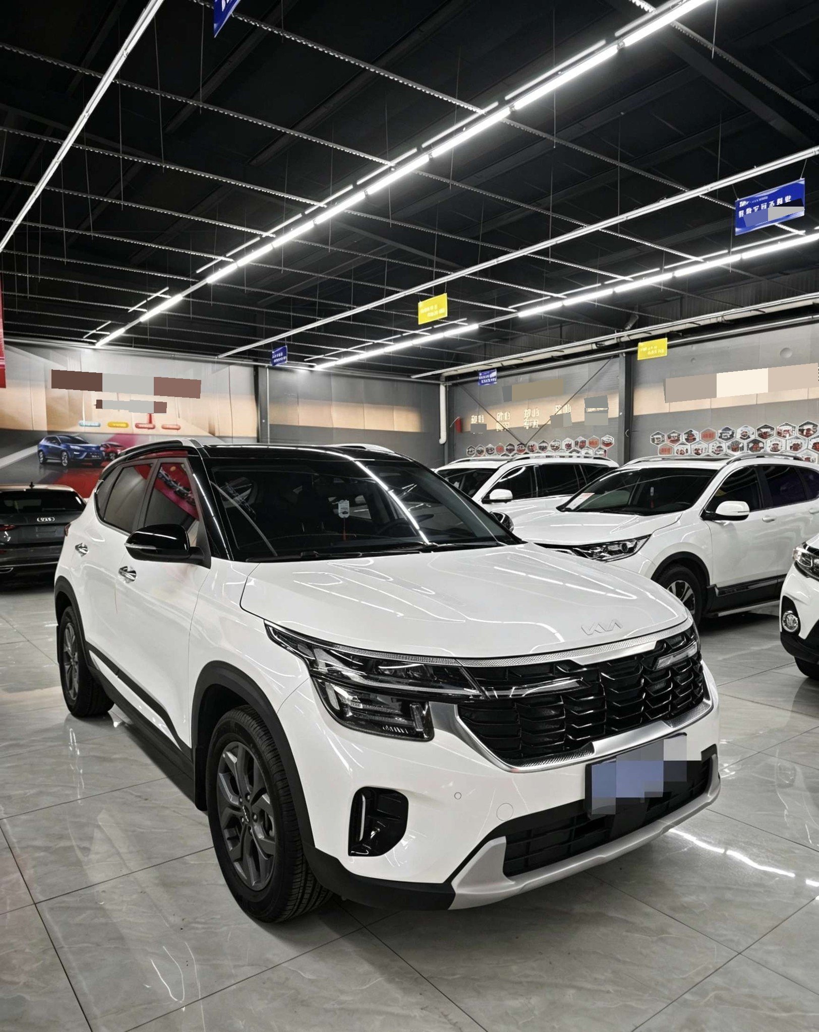 Kia Seltos 2025 #2 Kia Seltos 2025 immagine di auto #2